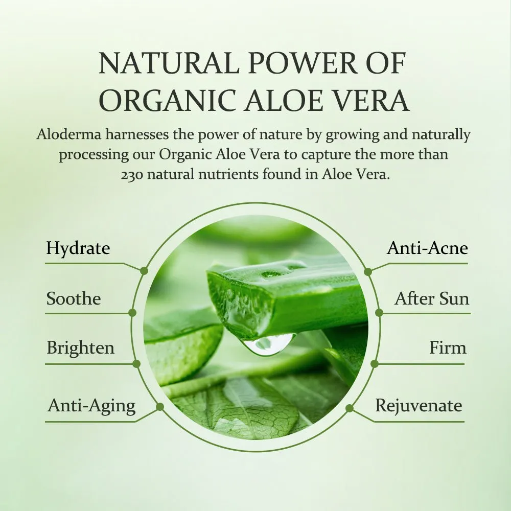 Aloe Vera Gel | 1.5 oz