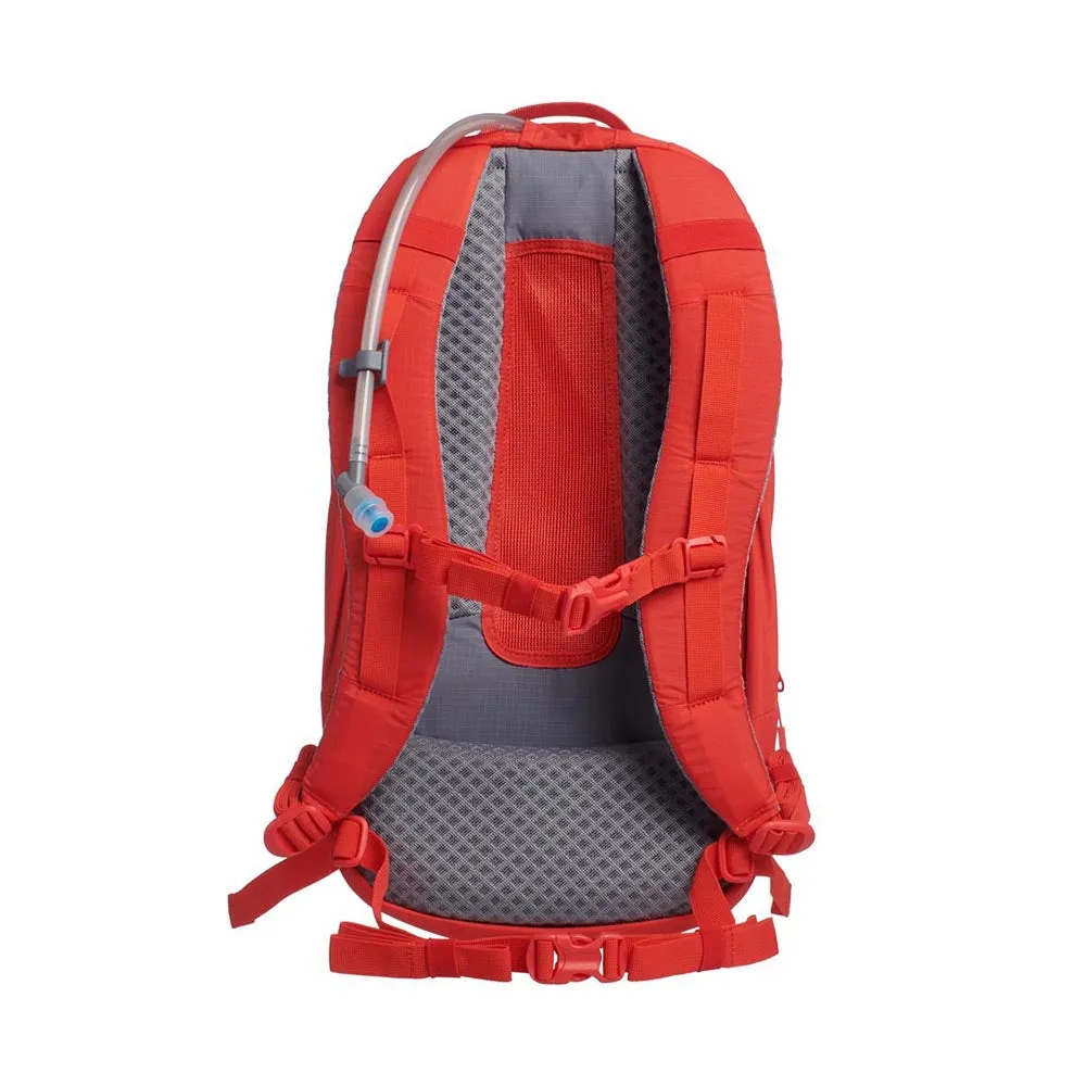 Down Shift Hydration Pack - Guava
